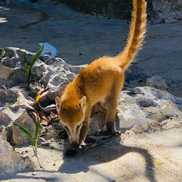 85% of textiles = 92 millions TONS a YEAR = LANDFILL. Let's Change That! - Picture 5 of 12